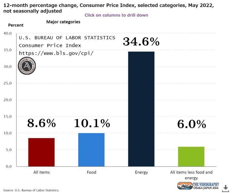 アメリカ 消費者物価指数 CPI 総合指数 8.6%、less food and energy index 6.0%