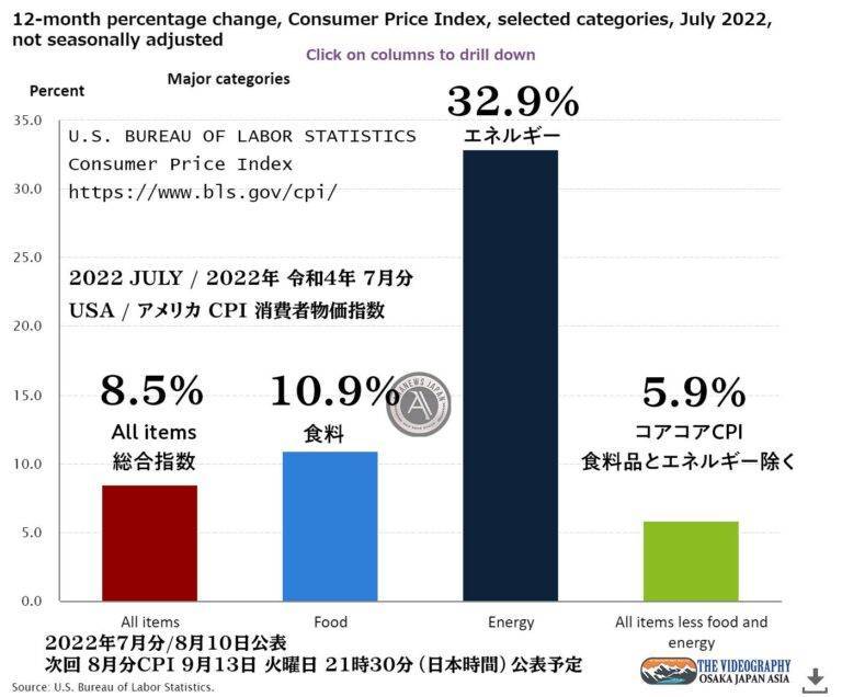 アメリカ 消費者物価指数 CPI 総合指数 8.5%、less food and energy index 5.9%