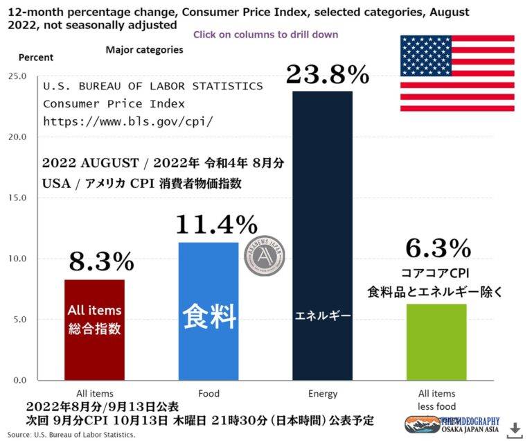 アメリカ 消費者物価指数 CPI 総合指数 8.3%、less food and energy index 6.3%