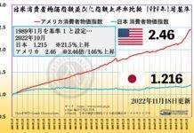 日米消費者物価指数比較 1989年1月基準・日本 1.216 / USA 2.46
