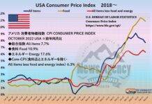 USA CPI Consumer Price Index アメリカ 消費者物価指数 2018年～2022年