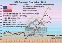 USA CPI Consumer Price Index アメリカ 消費者物価指数 2018年～2022年11月まで