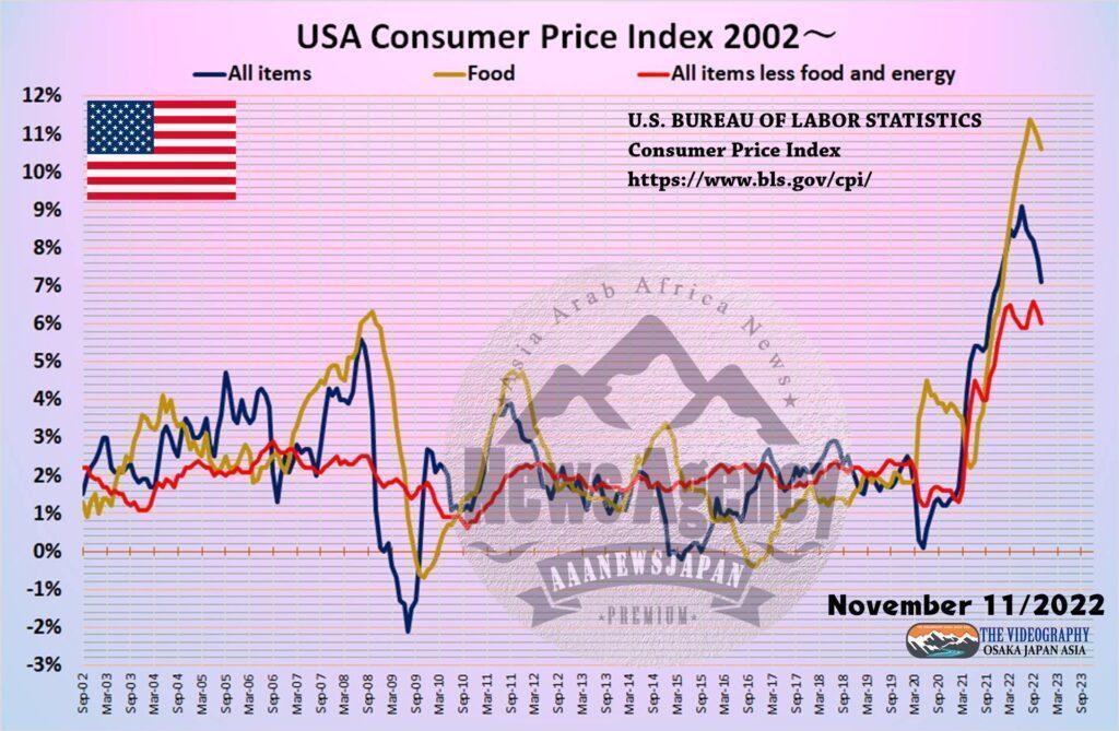 USA CPI Consumer Price Index アメリカ 消費者物価指数 2002年～2022年11月まで